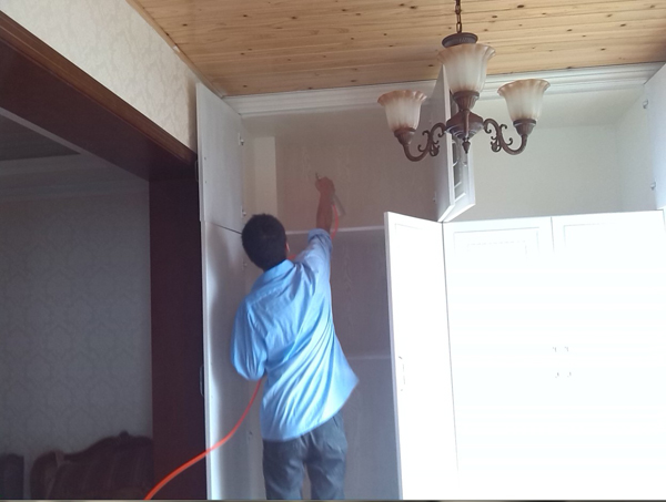 1492498172.jpg 3.jpg