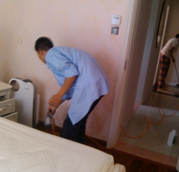 1492498228.jpg 3.jpg