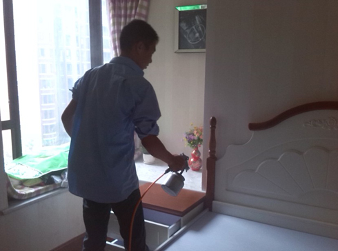 1492498329.jpg 3.jpg