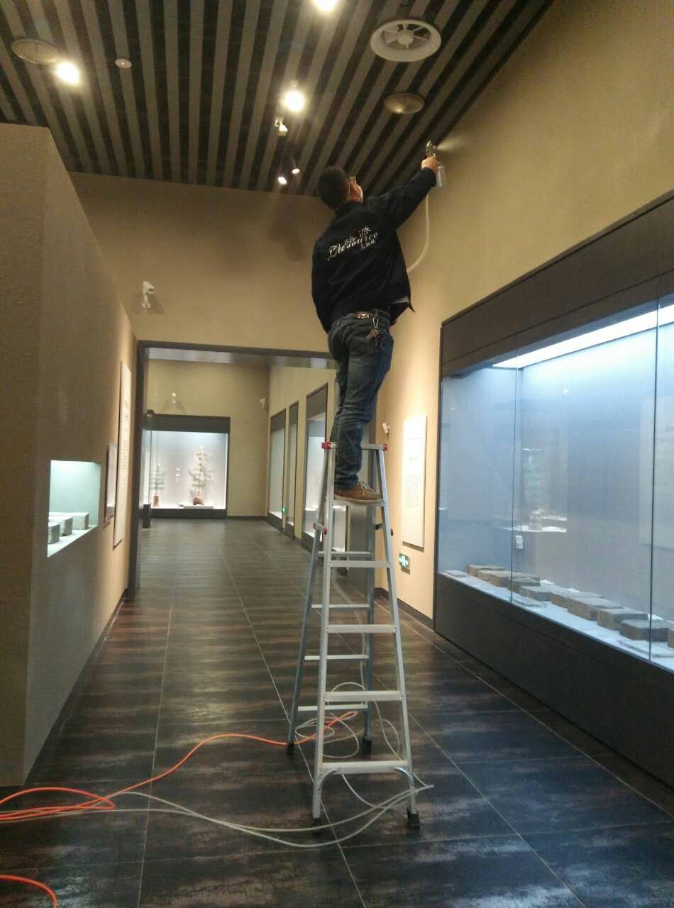 1494126538.jpg 1494126538.jpg