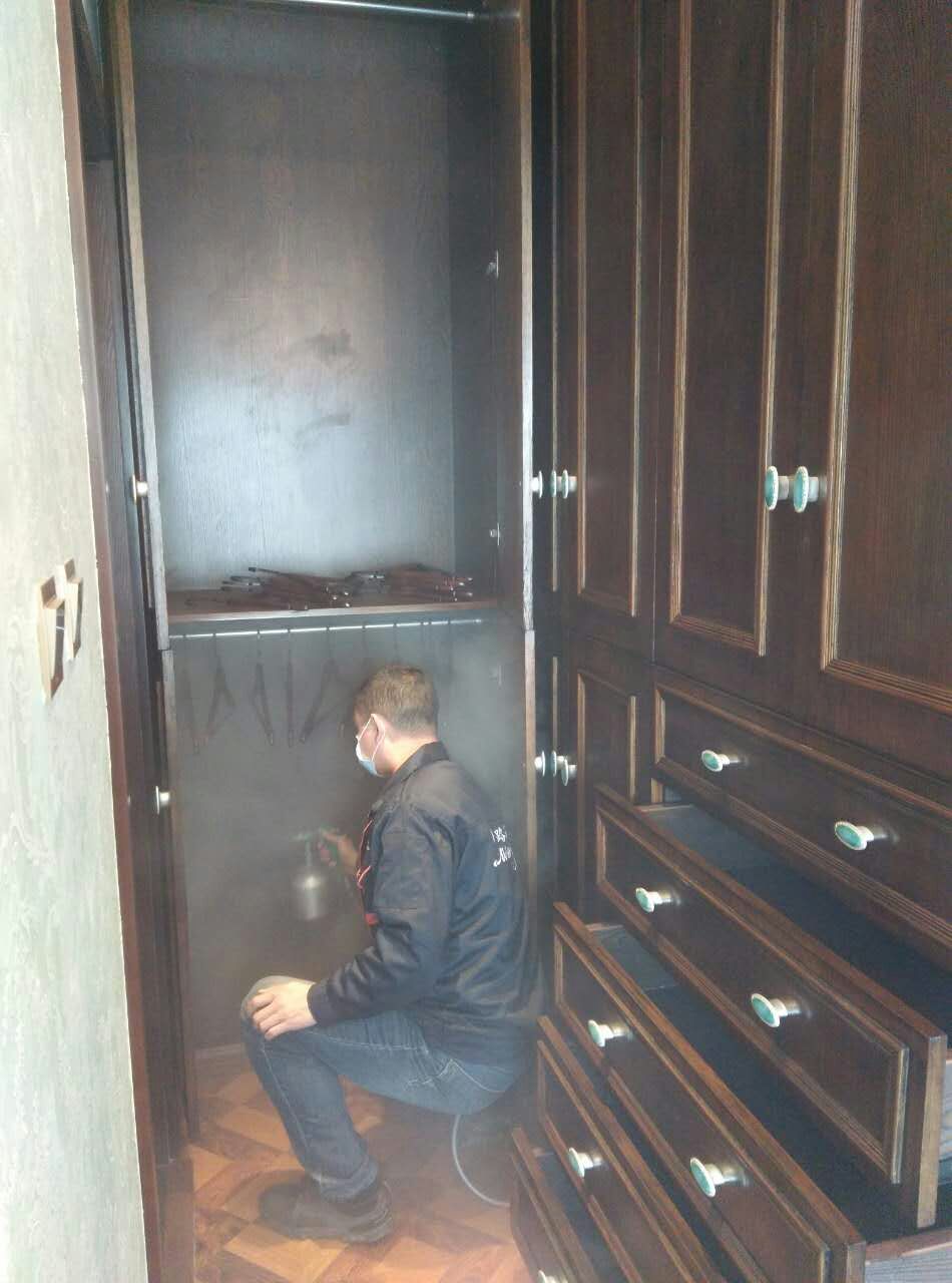 1495021847.jpg 1495021847.jpg